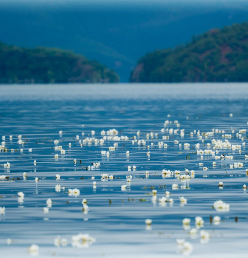 泸沽湖入住指南当地天气